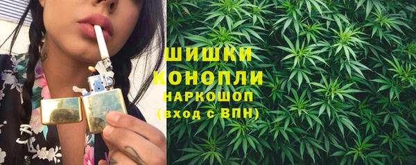 apvp Аркадак