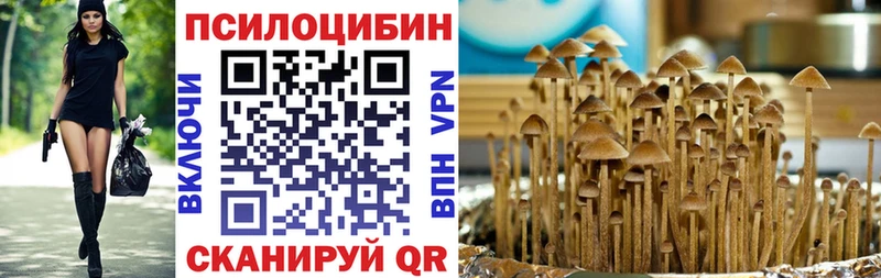 Галлюциногенные грибы Psilocybe  где купить наркоту  Татарск 